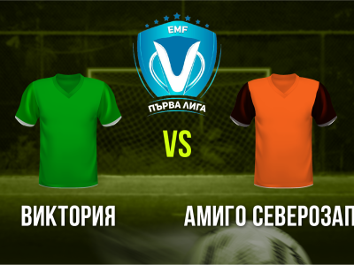 Мини футбол и Футзал
