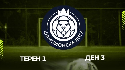 спортни видеа: ШАМПИОНСКА ЛИГА
